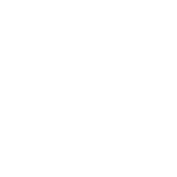 lente-white
