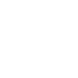 lente-white_en