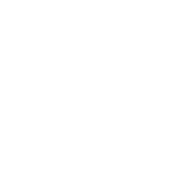 transition-white transition-white